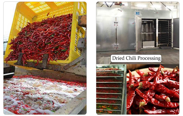 Dried Whole Chili Pepper Production In Factory